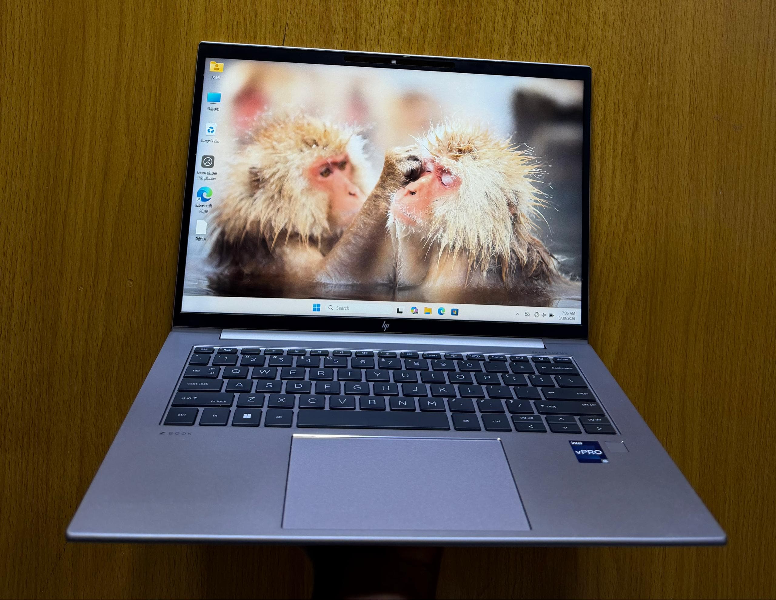🇺🇸 HP ZBOOK Firefly 14 G10